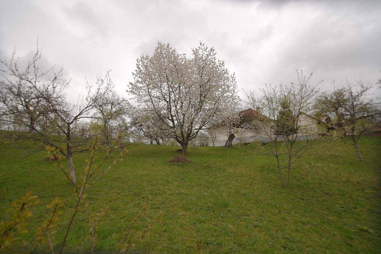 Casa Bunicii - Bran Sohodol Villa Sohodol  Dış mekan fotoğraf