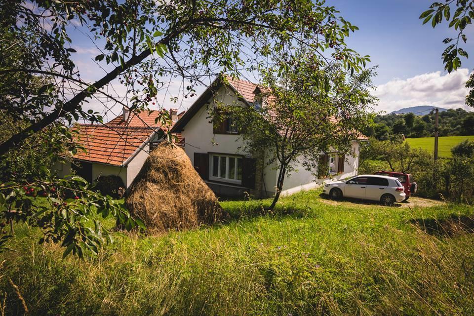 Casa Bunicii - Bran Sohodol Villa Sohodol  Dış mekan fotoğraf