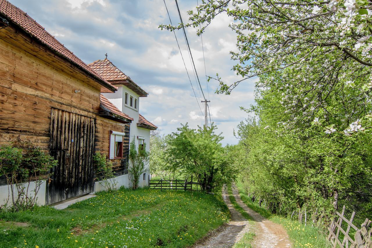 Casa Bunicii - Bran Sohodol Villa Sohodol  Dış mekan fotoğraf