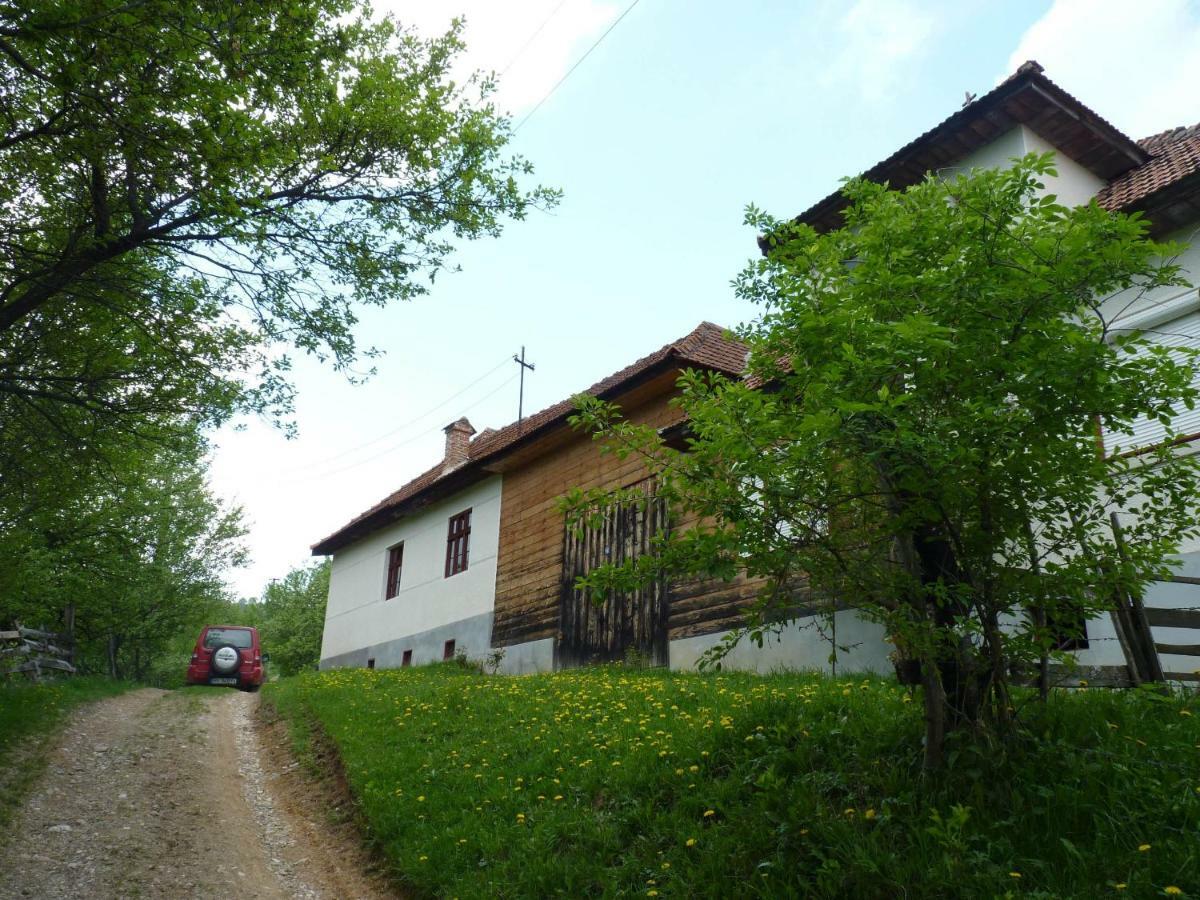 Casa Bunicii - Bran Sohodol Villa Sohodol  Dış mekan fotoğraf